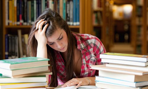Introdução ao LearnPress – LMS plugin