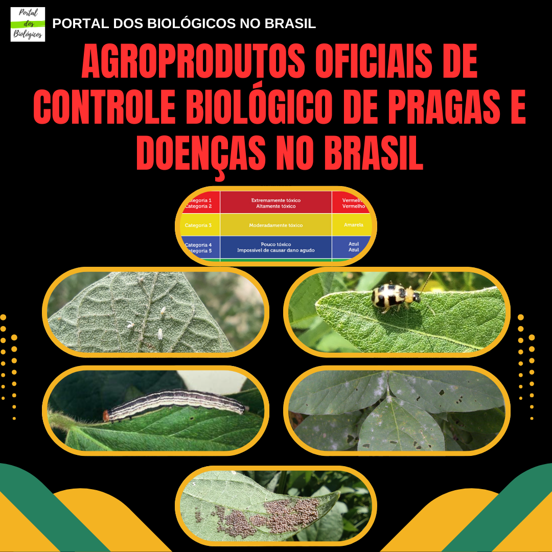 Curso de Agro Produtos Oficiais de Controle Biológico de Pragas e Doenças no Brasil