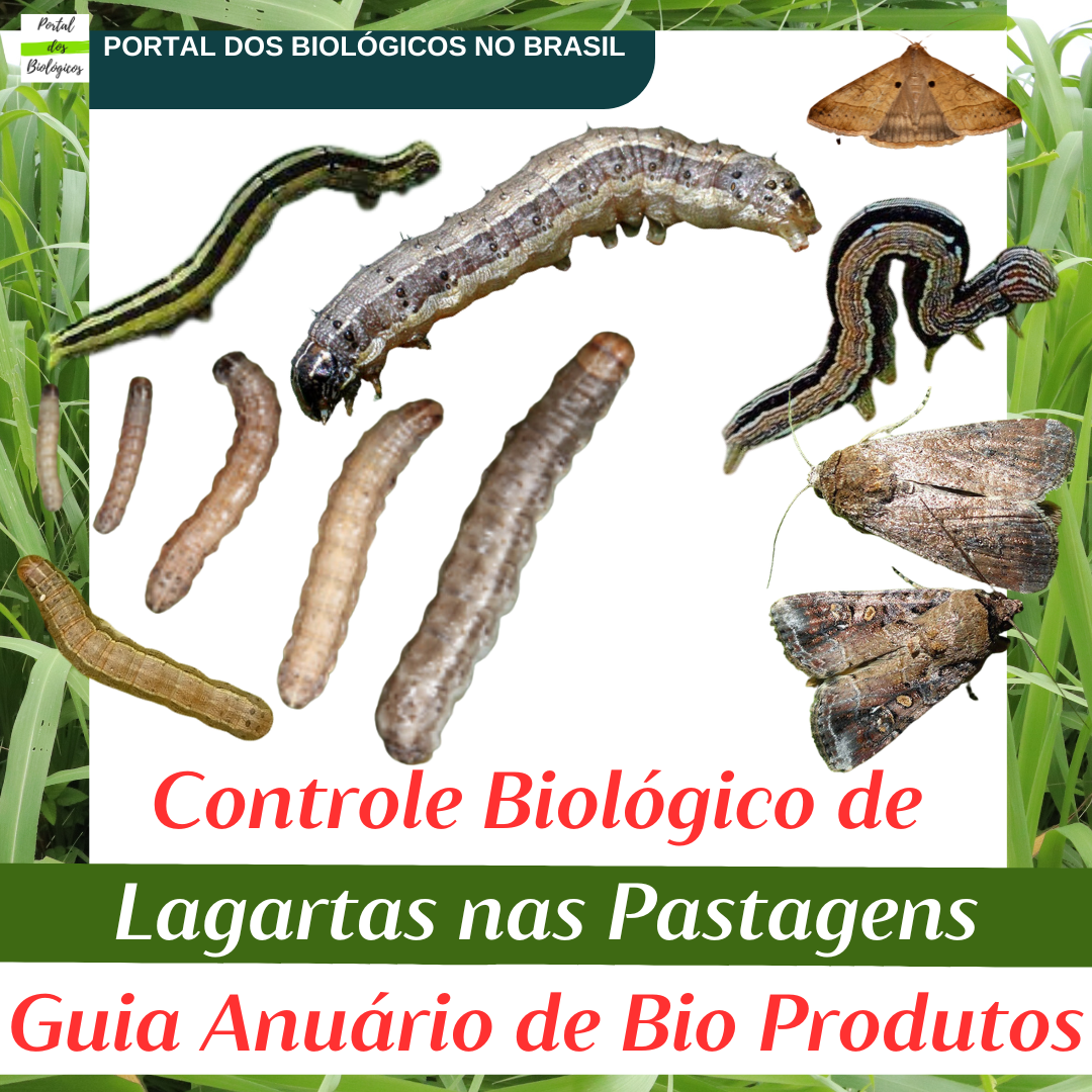 Curso de Controle Biológico de  Lagartas nas Pastagens Guia - Anuário de Bio Produtos